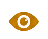 Vision